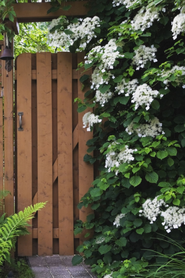 Taman dengan hiasan tanaman rambat